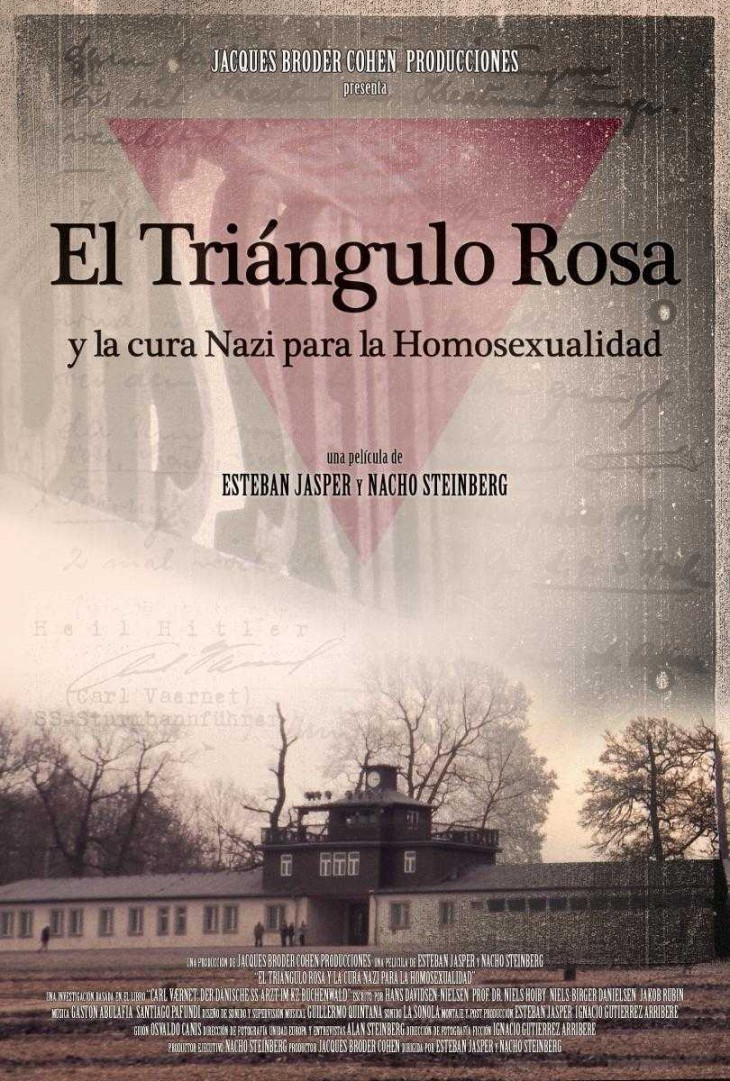 El Triángulo Rosa y la cura nazi Para La Homosexualidad