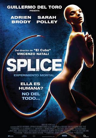 Splice